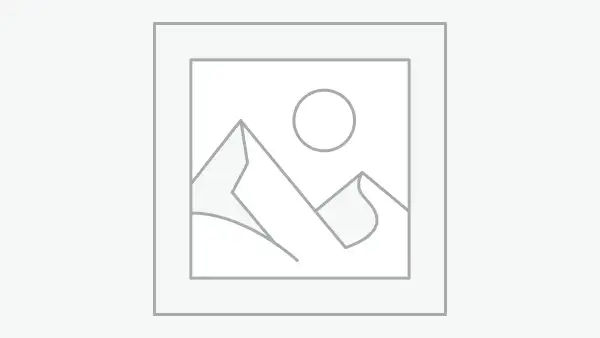 플레이스홀더